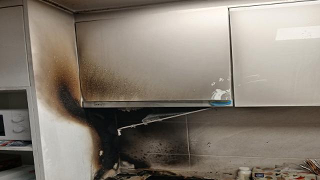 고양이가 낸 불 5년간 27건…인천소방본부, 화재 주의 당부