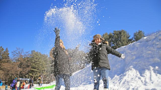 겨울에도 뜨거운 남이섬 ‘2025 Winter Wonder Nami Island’ 눈썰매장 개장