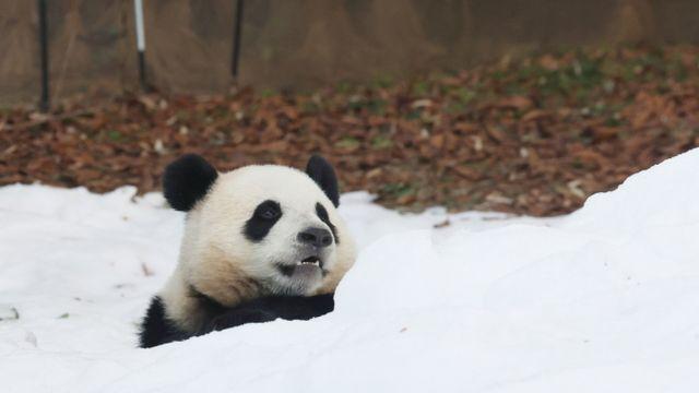 [내일 날씨] 