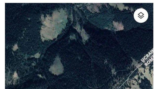 집사의 목숨을 살린 새끼고양이