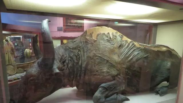 36,000년 된 소고기를 먹은 박제사들(에이징의 끝판왕?) 