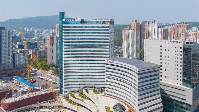 경기도, 고위험군 인플루엔자 접종 당부...인플루엔자 환자 급증