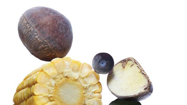 얼려 먹어야 더욱 좋은 음식