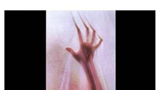 베글의 박찬욱 감독의 비평을 이렇게 보면 재미있는 구석이 있음…