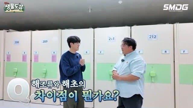 해조류와 해초의 차이