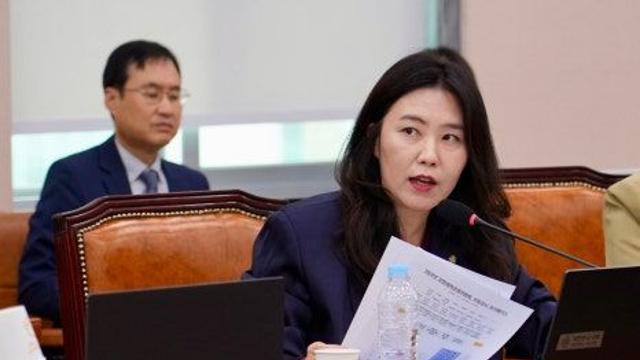 민주당, 