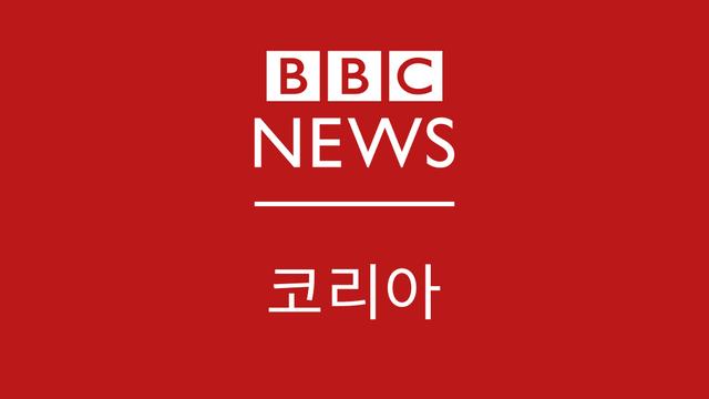 우크라이나, 러시아에서 부상당한 북한군 2명 생포했다고 밝혀