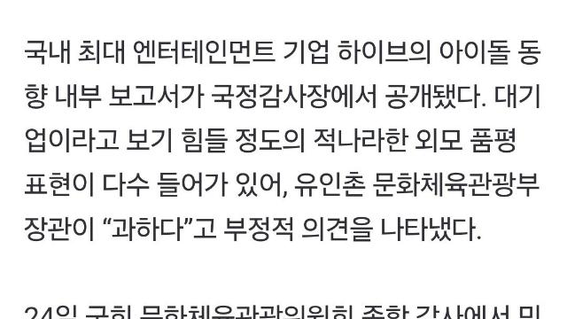 국감에서 공개된 하이브 내부 보고서 내용 수준 