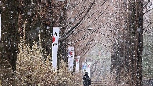 대전·세종·충남 흐리고 눈·비…미세먼지 '나쁨'