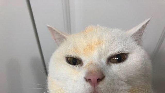 이거 '증거인멸' 아님?