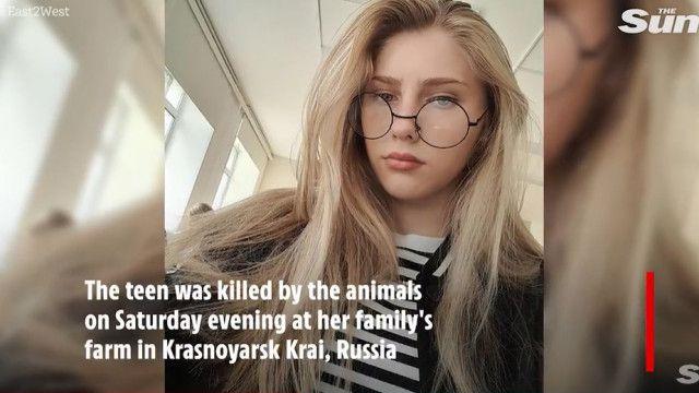 “충 격” 10대 소녀, 돼지에게 잡아 먹혀..jpg