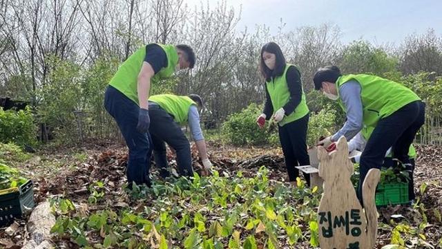 한국인들은 너도나도 만들어 먹는데, 미국은 이제야 주목하기 시작한 '식재료'