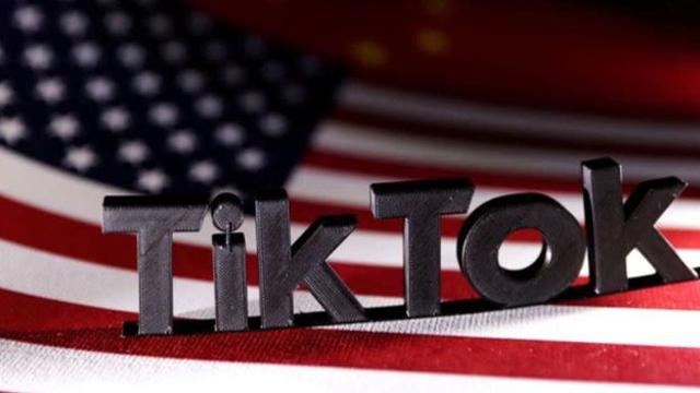 사용 금지 앞둔  틱톡(TikTok), 테슬라 일론 머스크 인수설 제기