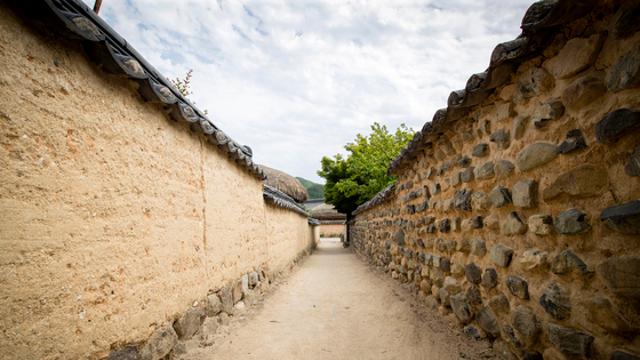 유네스코 세계유산 안동 하회마을 담벼락 근황