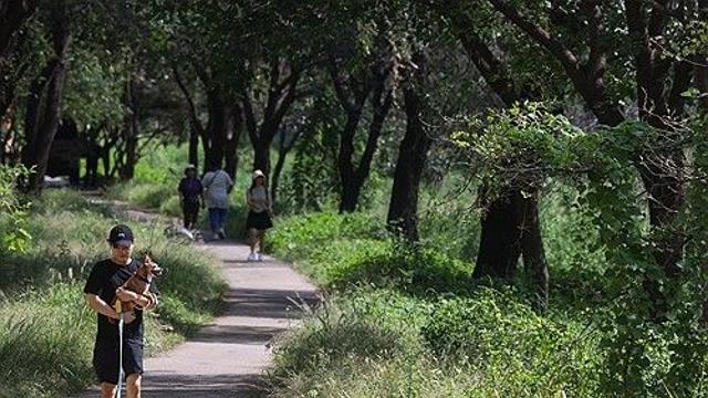 댕댕이와 청계천 산책…반려견 동반 시범사업 6월까지 연장