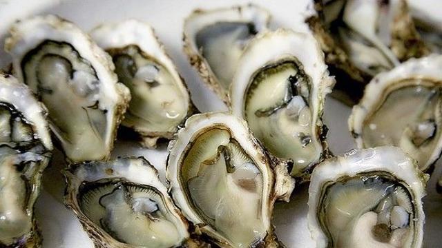 겨울철 영양가득 ‘굴’…갑작스러운 복통이 찾아왔다면?