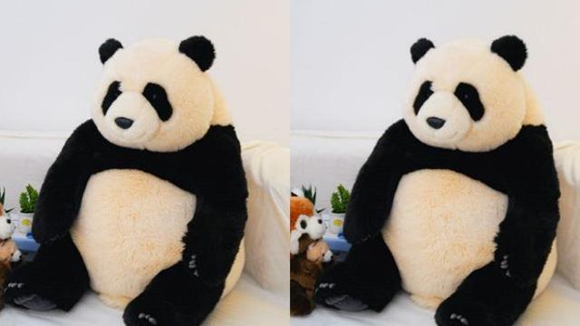 “비싸긴 하네…” 유재석, 에버랜드 판다 인형 가격에 '흠칫' (푸바오)