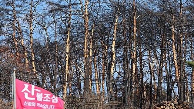 [내주날씨] 평년기온 웃도는 온화한 날씨…건조한 대기에 화재 조심