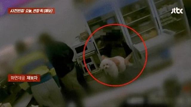 강아지 항문 닦던 직원, 그 손 그대로 음식 포장…