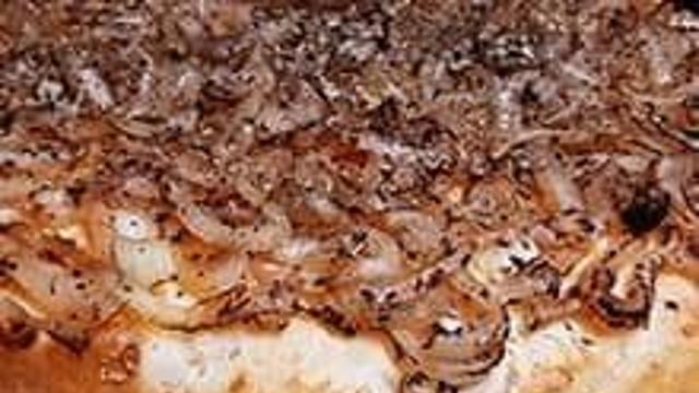 푸가제타 like 포카치아