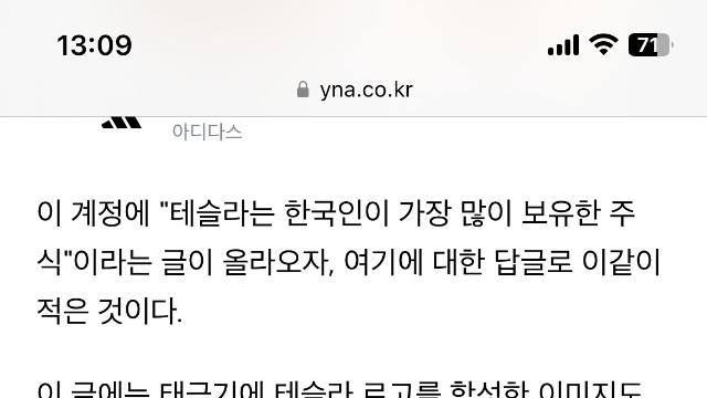 테슬라 차주도 아닌데 테슬람이 많이 보이는 이유 