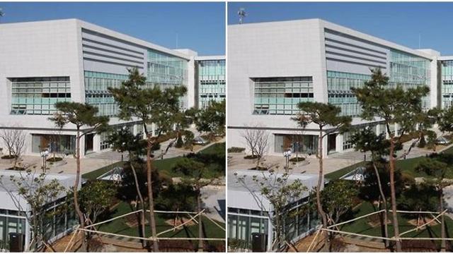 “설 명절 전 1인당 30만 원 지급” 국내 지역 어디?