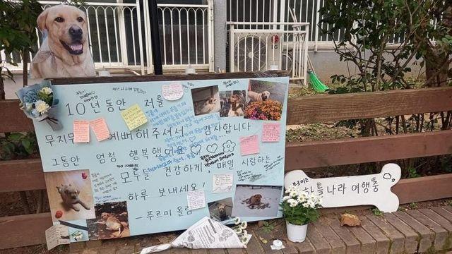 떠나간 댕댕이의 주인이 아파트 주민에게 감사표시
