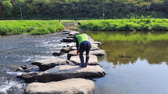 성남시 도심 가로지른 탄천, 2년 연속 '1급수' 유지