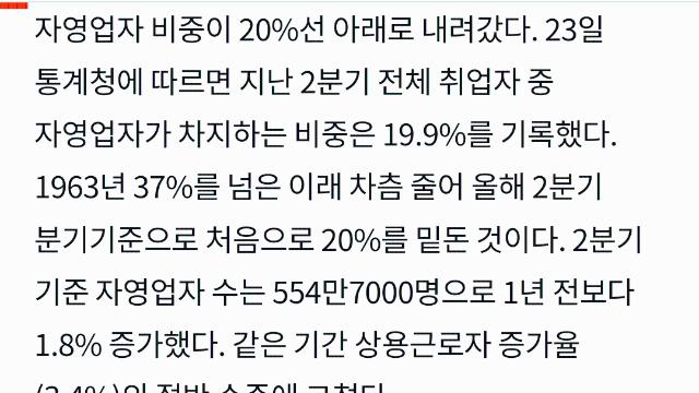 대한민국 자영업의 현실
