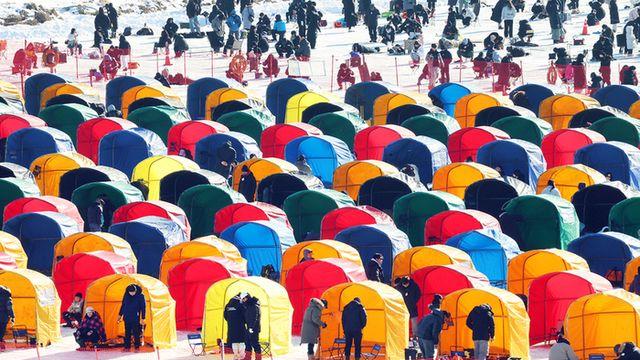 평창송어축제, 100% 당첨·행운의 룰렛·황금송어잡기 현장 이벤트 풍성