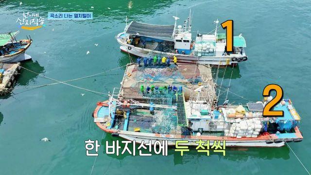 이 보기가 편안한 이유