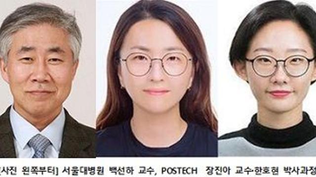 서울대병원-POSTECH, 3D 뇌혈관 장벽 모델 개발…신경퇴행성 질환 연구 중요 역할 기대