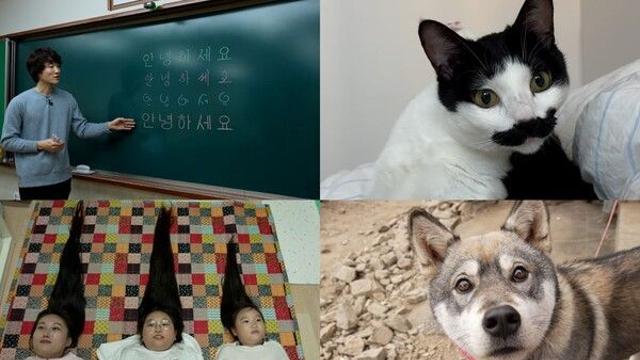 “시민 모신 줄 알았어요” 지예은 등장에 전현무가 내뱉은 말('세상에 이런 일이')