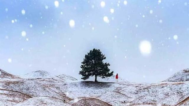 설날연휴 아이와 가볼만한곳 