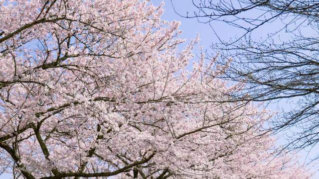 고향사랑 기부금으로 '강원 네이처로드' 전기 캠핑카 여행 떠나세요!