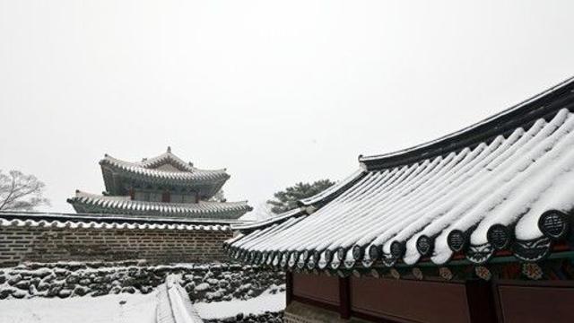 설 연휴 날씨 '비상'…임시공휴일부터 전국에 많은 눈