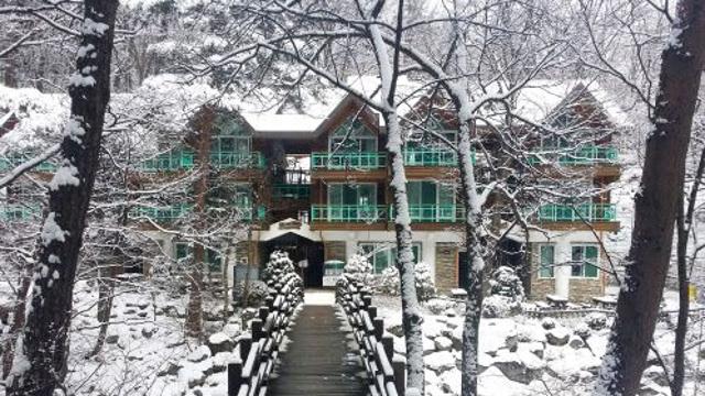 “올 설 연휴엔 국립자연휴양림으로 가볼까”