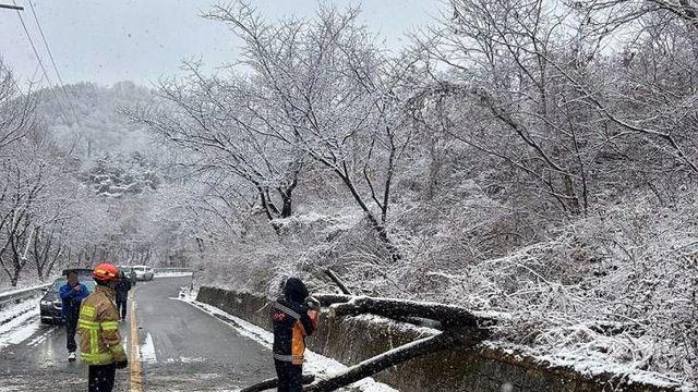 [날씨] 설 앞두고 전국에 눈비 계속…대전·세종 아침 최저 -4도