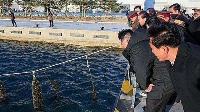 수산업 거듭 강조하는 북한…