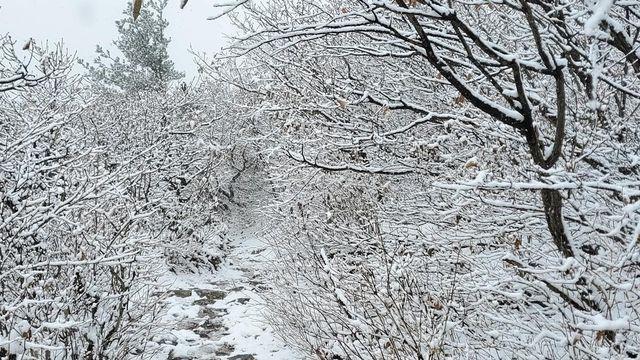 설날 연휴, 산에서 만나는 힐링: 국내 등산 명소 BEST 4