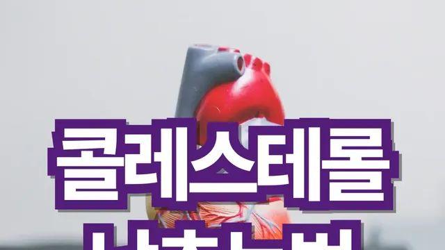 콜레스테롤 낮추는 방법 : 실제 성공한 사례들