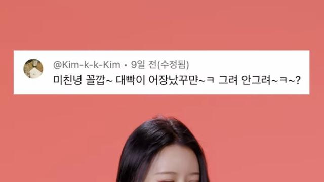 치어리더가 받는 악플 수준