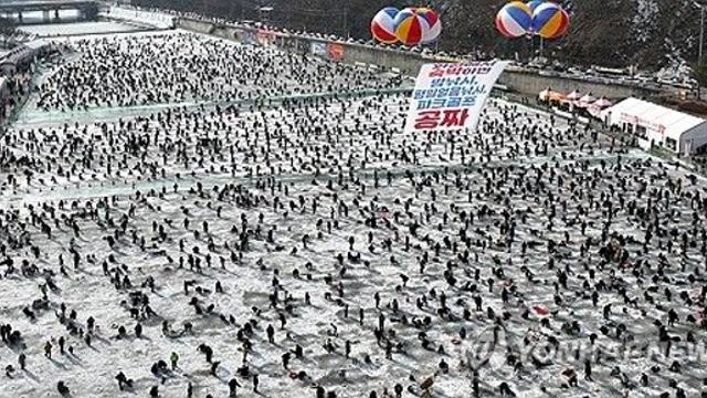 화천산천어축제 설 연휴 55만명 흥행가도…역대 최다 기대감