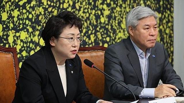 혁신당, '내란종식 원탁회의' 제안…