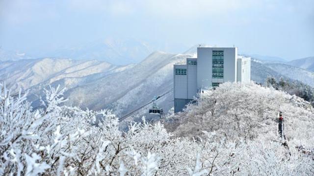 설경과 운해의 조화, 겨울 영남알프스가 특별한 이유는?