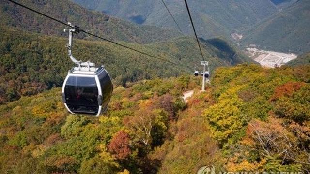 정선군 고향사랑기부금 30% 증가…명품·이색 답례품 인기
