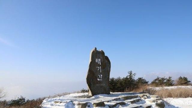 태기산 풍력단지, 겨울 여행객들이 꼭 찾는 이유는?