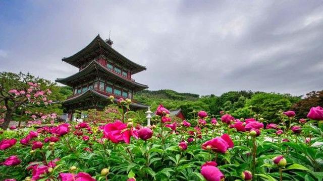 진천, 매력적인 명소는 여기에 다 있다?