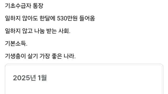 한달에 530만원 들어온다는 미혼모 기초수급자