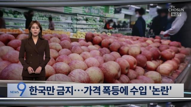 전세계에서 한국만 사과 수입 금지